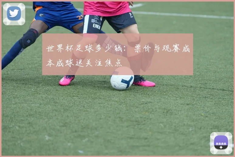 世界杯足球多少钱：票价与观赛成本成球迷关注焦点