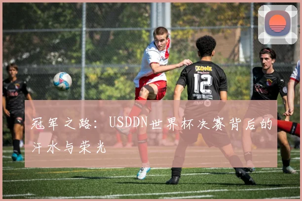 冠军之路：USDDN世界杯决赛背后的汗水与荣光