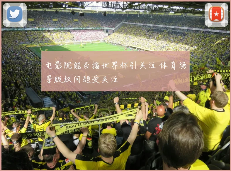 电影院能否播世界杯引关注 体育场景版权问题受关注
