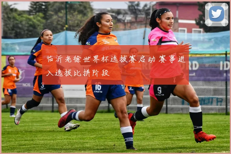 临沂老徐世界杯选拔赛启动 赛事进入选拔比拼阶段