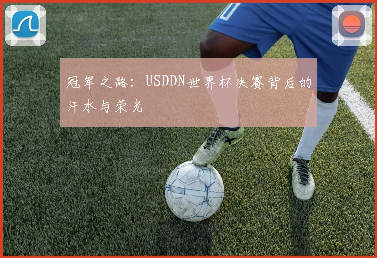 冠军之路：USDDN世界杯决赛背后的汗水与荣光